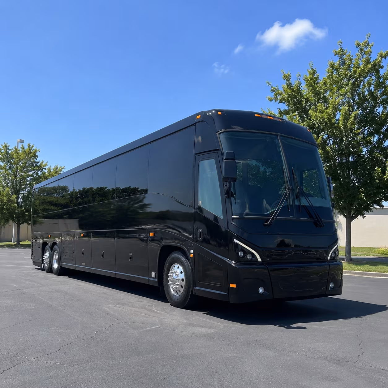 Davie School Event Transportation party bus exterior