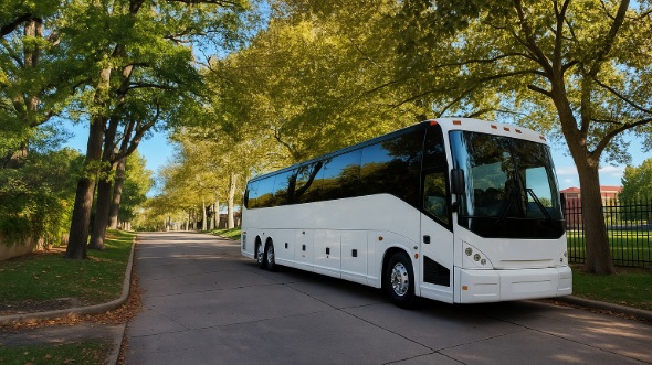 davie bachelor and bachelorette party bus rentals
